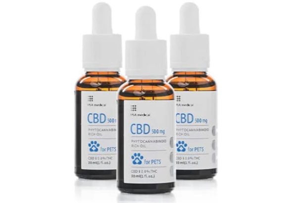 WhatsApp Image 2026-02-10 at 7.11.19 PM (3)